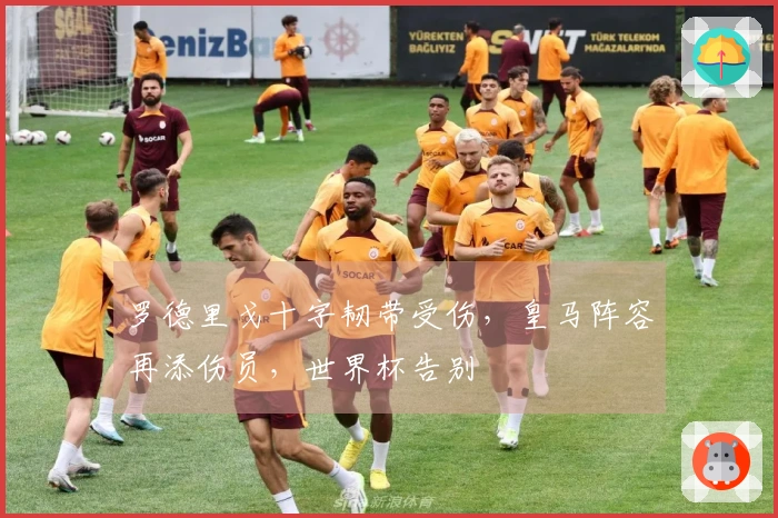 罗德里戈十字韧带受伤，皇马阵容再添伤员，世界杯告别
