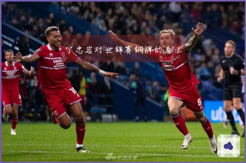 宁忠岩对世锦赛铜牌的看法