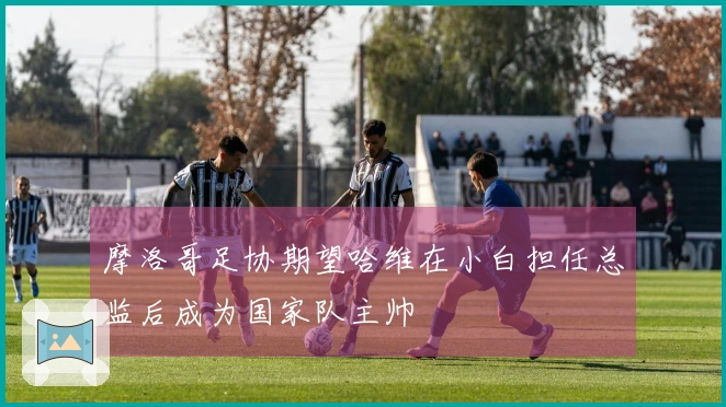 摩洛哥足协期望哈维在小白担任总监后成为国家队主帅