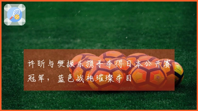 许昕与樊振东携手夺得日本公开赛冠军，蓝色战袍璀璨夺目